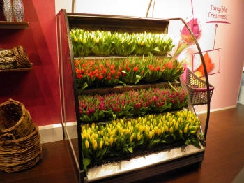 külmariiul võileivad salatid lõuna